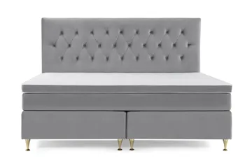 Lave Gullben - Lysegrå