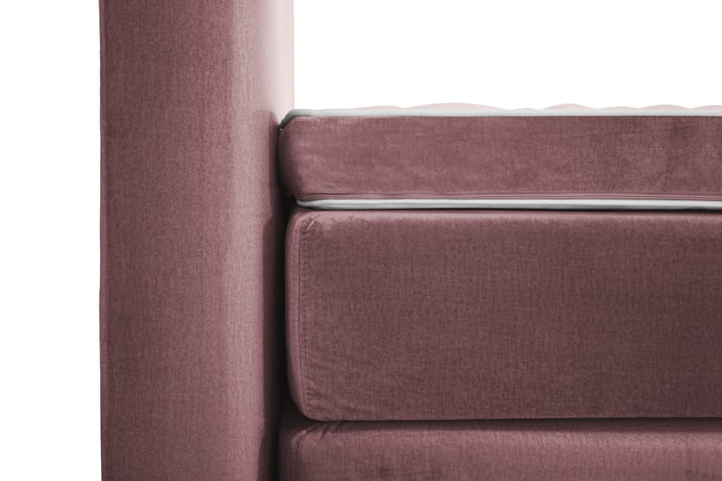 Royal Velvet Kontinentalseng 210x210 cm - Rosa Fløyel/Høye Gullben - Møbler - Senger - Kontinentalsenger