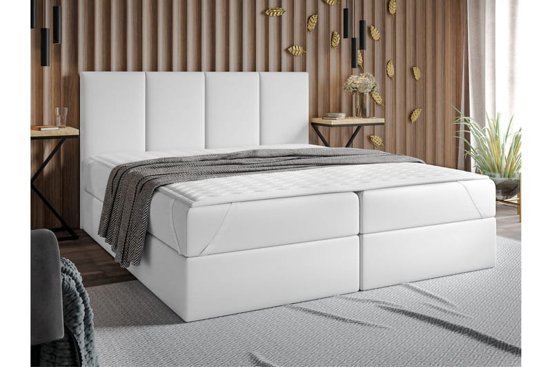 Madrass MANDULA 200x200