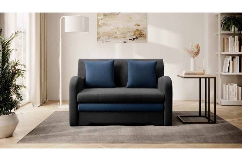 Ario Sofa 2-seters - Svart - Møbler - Sofaer - Sovesofaer - 2 seters sovesofa