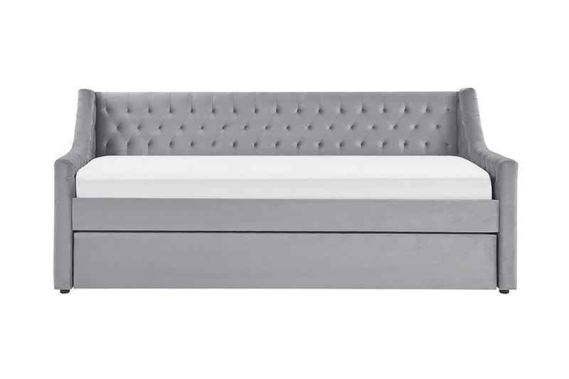 Dagseng 90 x 200 cm fløyel grå MONTARGIS, Grå