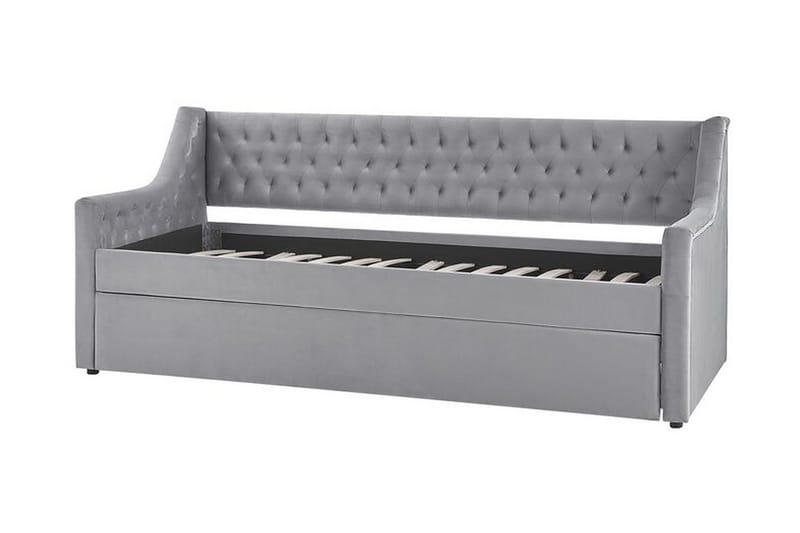 Dagseng 90 x 200 cm fløyel grå MONTARGIS - Grå - Møbler - Sofaer - Dagsenger - Dagseng dobbeltseng