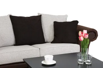 Toronto 2-seters Sofa - Brun/Beige - Møbler - Sofaer - Skinnsofaer