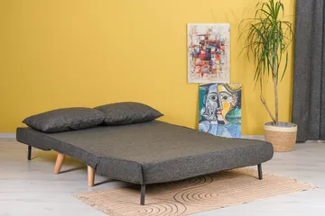 Daigo Liten 2-seters Framåtbäddad Fällbar Sovesofa 120x180 cm i Stoff - Grå - Møbler - Sofaer - Sovesofaer - 2 seters sovesofa