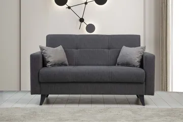 Darcia 2-seter Sovesofa 55x125 cm med Oppbevaring i Stoff - Antrasitt - Møbler - Sofaer - Sovesofaer - 2 seters sovesofa