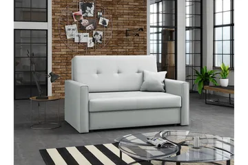 Denegal 2-seters Sovesofa - Møbler - Sofaer - Sovesofaer - 2 seters sovesofa