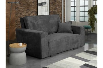 Denegal 2-sits Bäddsoffa NO_BRAND Dark grey - Møbler - Sofaer - Sovesofaer - 2 seters sovesofa