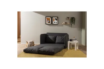 2-seters sovesofa Rubby (128 x 70 x 66 cm) Mørk grå - Mørk grå - Møbler - Sofaer - Sovesofaer - 2 seters sovesofa