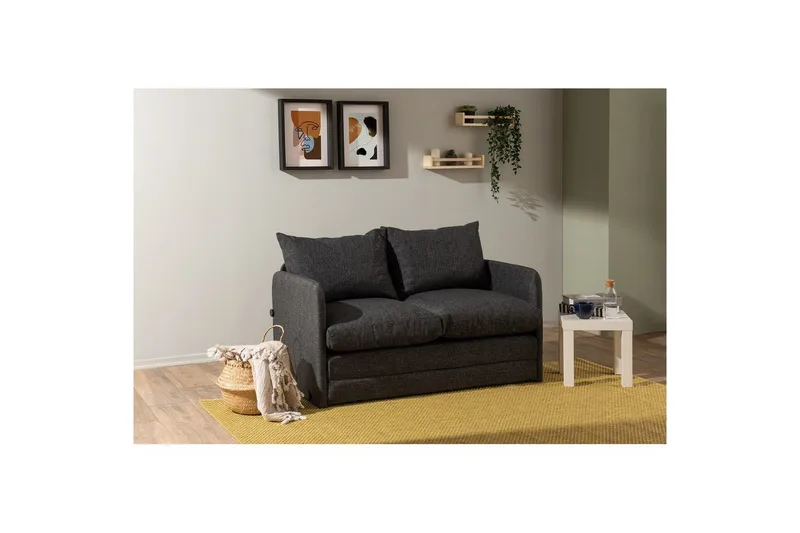 2-seters sovesofa Rubby (128 x 70 x 66 cm) Mørk grå - Mørk grå - Møbler - Sofaer - Sovesofaer - 2 seters sovesofa