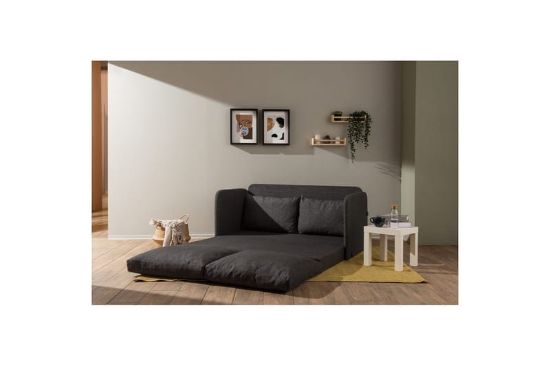 2-seters sovesofa Rubby (148 x 70 x 66 cm) Mørk grå - Mørk grå - Møbler - Sofaer - Sovesofaer - 2 seters sovesofa