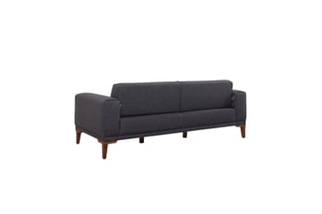 Wyong Sovesofa 3-seters 223x94 cm - Antrasitt - Møbler - Sofaer - Sovesofaer - 3 seters sovesofa