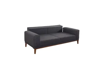 Wyong Sovesofa 3-seters 223x94 cm - Antrasitt - Møbler - Sofaer - Sovesofaer - 3 seters sovesofa