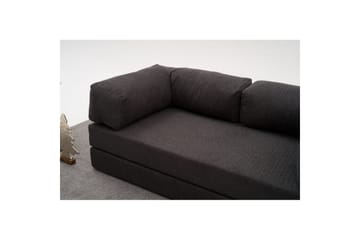 Hjørnesofa Selorbury Trippel Antrasitt - Antrasitt - Møbler - Sofaer - Sovesofaer - Hjørnesovesofa