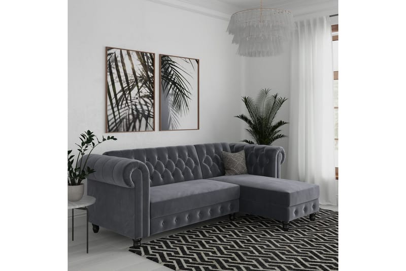 Sovesofa Felix 241x154x83 cm, Antrasitt, Fløyel - 241x154x83 cm, Antrasitt, Fløyel - Møbler - Sofaer - Sovesofaer - Sovesofa divan