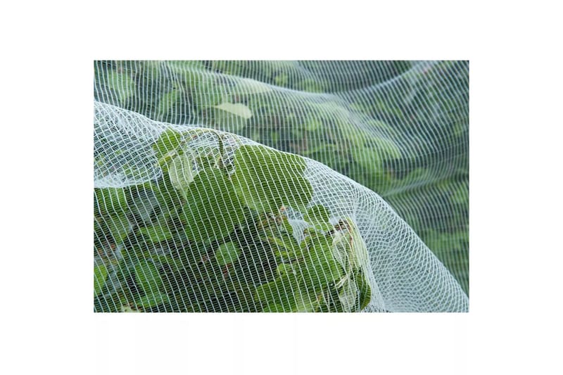 Natur Anti-insektsnett mot eplevikler-møll 6030450 - Barstol