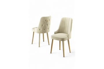 Gull/Ivory