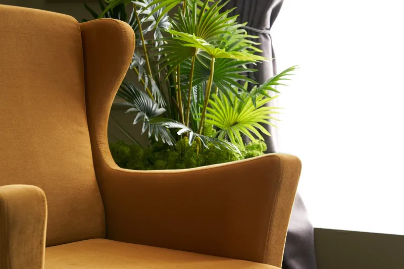 Edgara Lenestol - Fløyel/Guld/Natur - Møbler - Stoler - Lenestoler - Fløyelslenestol