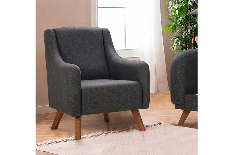 Malkiat Lenestol, Antrasitt