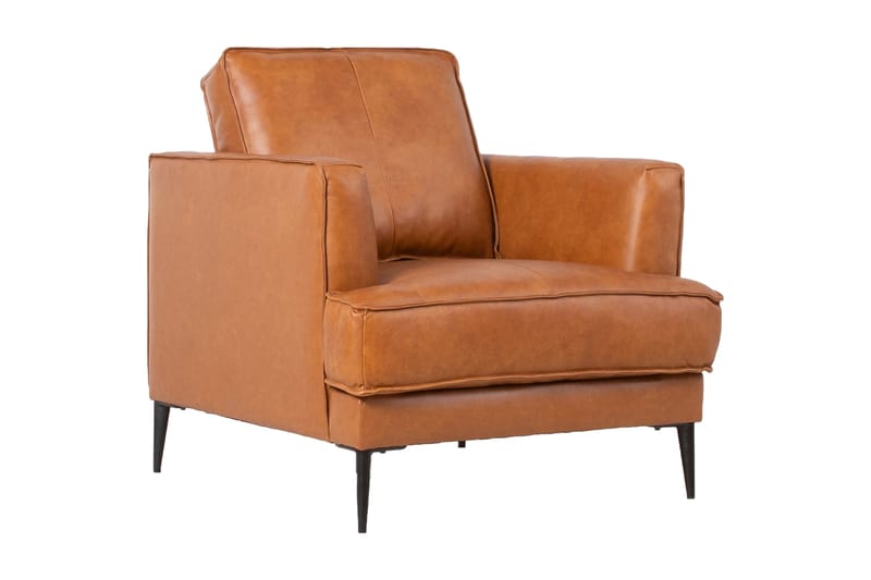 Leo Lenestol Lysebrun