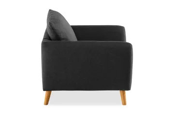 Trend Lenestol - Svart - Møbler - Stoler - Lenestoler