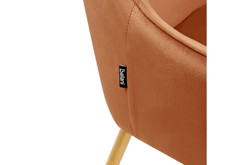 Sett med 2 spisestuestoler Loverna - Oransje, gull/Fløyel - Møbler - Stoler - Spisestuestoler & kjøkkenstoler