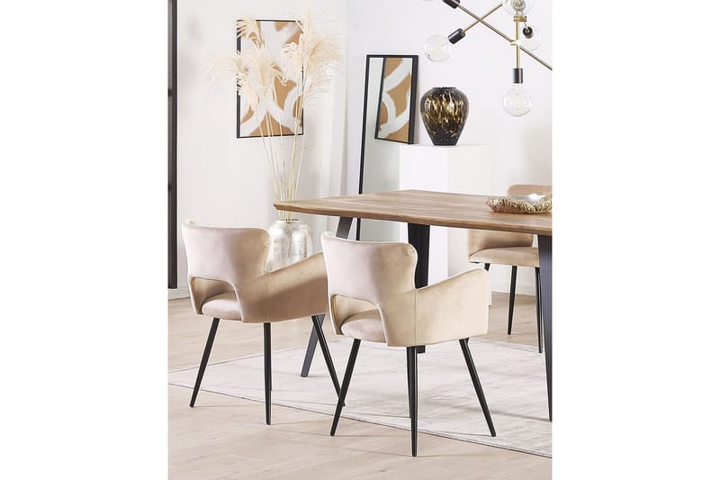Sett med 2 spisestuestoler Sanilac - Beige, svart, taupe - Møbler - Stoler - Spisestuestoler & kjøkkenstoler