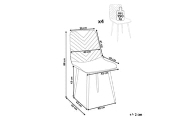 Sett med 4 spisestuestoler Havre - Svart - Møbler - Stoler - Spisestuestoler & kjøkkenstoler