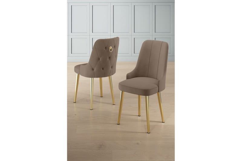 Spisestol Jebi Cappuccino / Gull - Cappuccino / Gull - Møbler - Stoler - Spisestuestoler & kjøkkenstoler