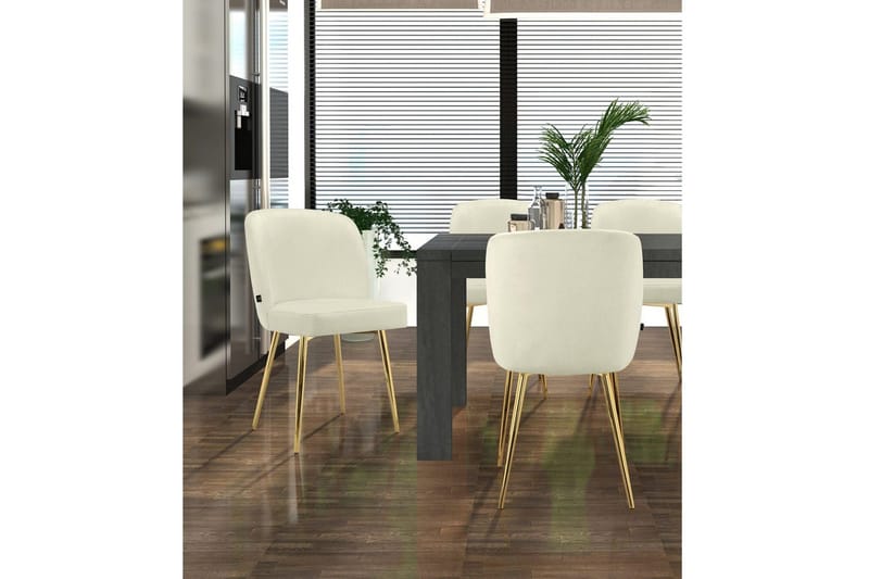 Spisestol Nagano Sett med 2 - Møbler - Stoler - Spisestuestoler & kjøkkenstoler