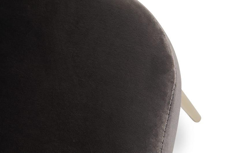 Felipe Spisestol Fløyel - Grå/Gull - Møbler - Stoler - Spisestuestoler & kjøkkenstoler