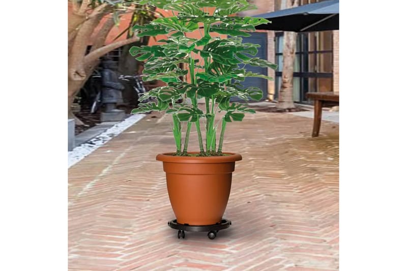 beBasic Plantetralle med hjul 2 stk diameter 30 cm svart 170 kg - Svart - Blomsterhylle & blomsterstativ