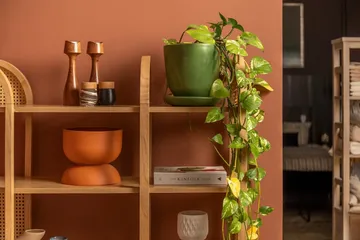 Makwana Bokhylle 120 cm - Naturell - Oppbevaring - Hylle - Bokhylle