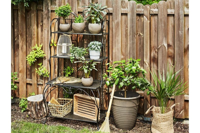 Plantehylle 4 hyller metall svart PAVONA - Svart - Oppbevaring - Hylle - Hagehylle