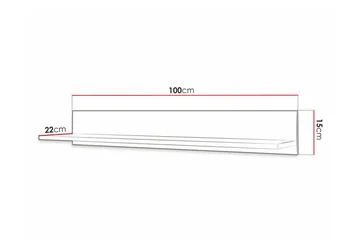 Dunvegan Vägghylla 100x22 cm Black - Oppbevaring - Hylle - Vegghylle