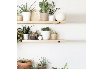 Wayte Vegghylle 60 cm - Svart / Eik - Oppbevaring - Hylle - Vegghylle