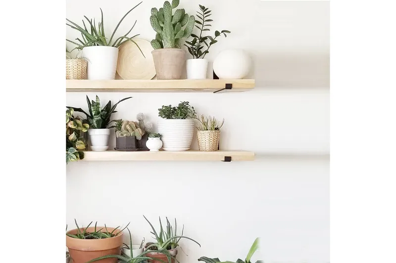 Wayte Vegghylle 60 cm - Svart / Eik - Oppbevaring - Hylle - Vegghylle