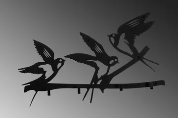 Salcuta Kleskroker 52x32 cm - Svart - Oppbevaring - Kles oppbevaring - Kleshengere & knaggrekker - Knagger