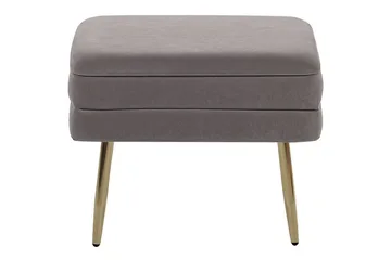 Oppbevaringsbenk Odessa Grå/gull - Grå/gull - Oppbevaring - Oppbevaringsmøbler - Oppbevaringskiste & sengekiste