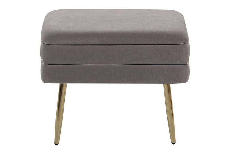 Oppbevaringsbenk Odessa Grå/gull - Grå/gull - Oppbevaring - Oppbevaringsmøbler - Oppbevaringskiste & sengekiste