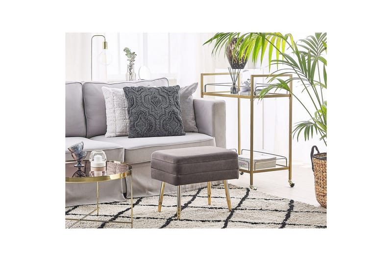 Oppbevaringsbenk Odessa Grå/gull - Grå/gull - Oppbevaring - Oppbevaringsmøbler - Oppbevaringskiste & sengekiste