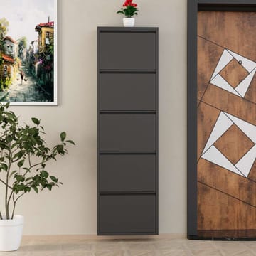 Rylanis skoskap 50x169 cm - Antrasitt - Oppbevaring - Skap - Oppbevaringsskap