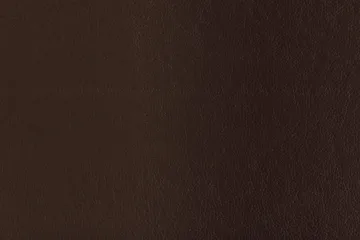 Shiheem Skohylle 60x30 cm - Brun - Oppbevaring - Skooppbevaring - Skoskap