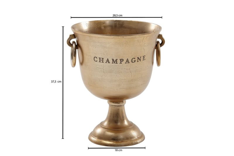 Ishink & Vinkylare Wohnling Guld - Servering & borddekking - Glass - Champagneglass