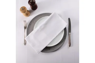 Serviett Fritz Magnus Trading Delight 50 x 50 cm Hvit - Tekstiler & tepper - Kjøkkentekstiler