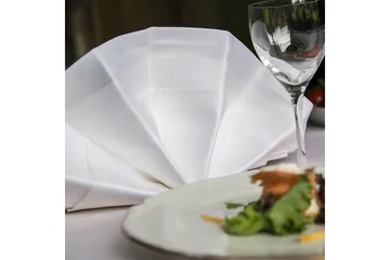 Serviett Fritz Magnus Trading Delight 50 x 50 cm Hvit - Tekstiler & tepper - Kjøkkentekstiler