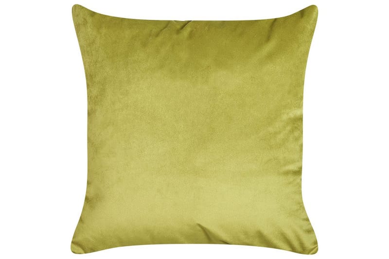 Pynteputer Aeonium sett av 2 Grønn/svart - Grønn/svart - Tekstiler & tepper - Pute & putetrekk - Pynteputer