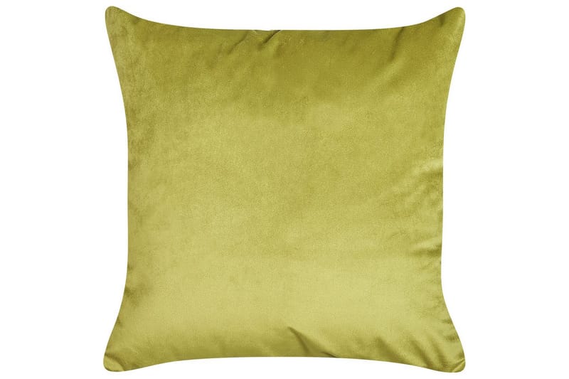 Pynteputer Aeonium sett av 2 Grønn/svart - Grønn/svart - Tekstiler & tepper - Pute & putetrekk - Pynteputer