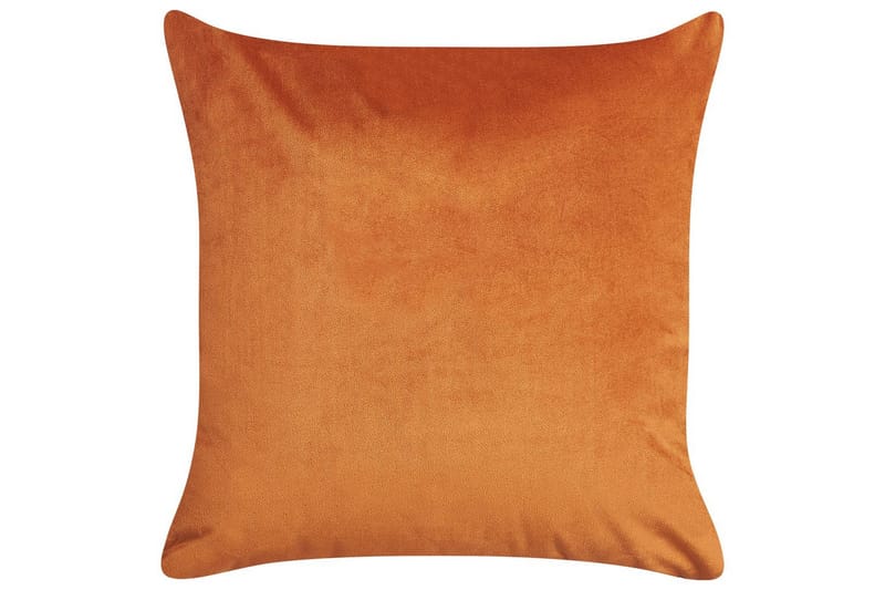 Pynteputer Aeonium sett av 2 Oransje/svart - Oransje/svart - Tekstiler & tepper - Pute & putetrekk - Pynteputer