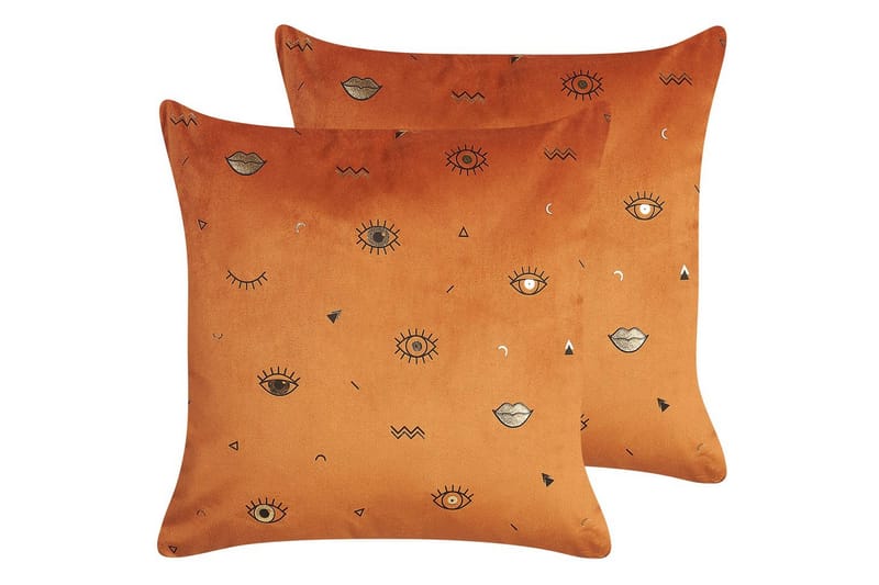 Pynteputer Aeonium sett av 2 Oransje/svart, Oransje/svart