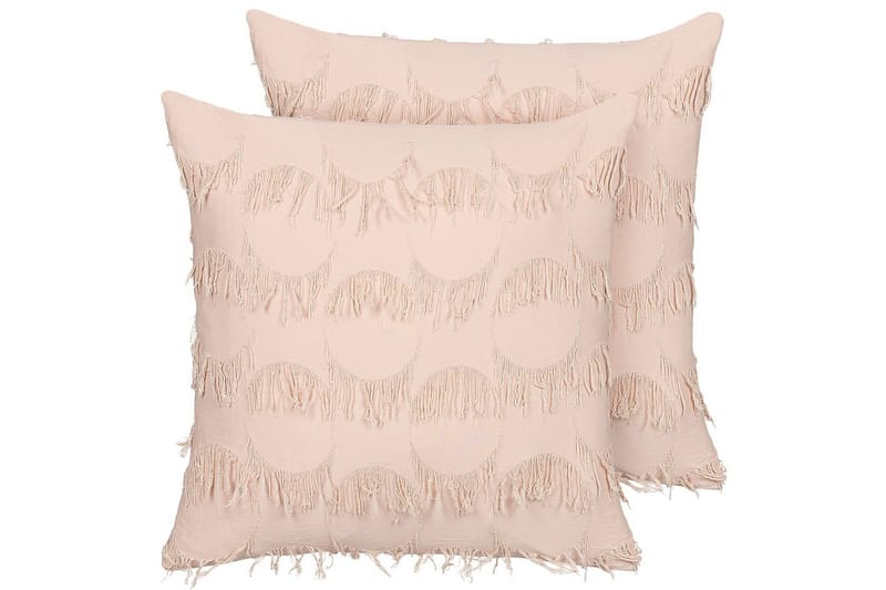 Pynteputer Agastache sett av 2 Rosa, Rosa